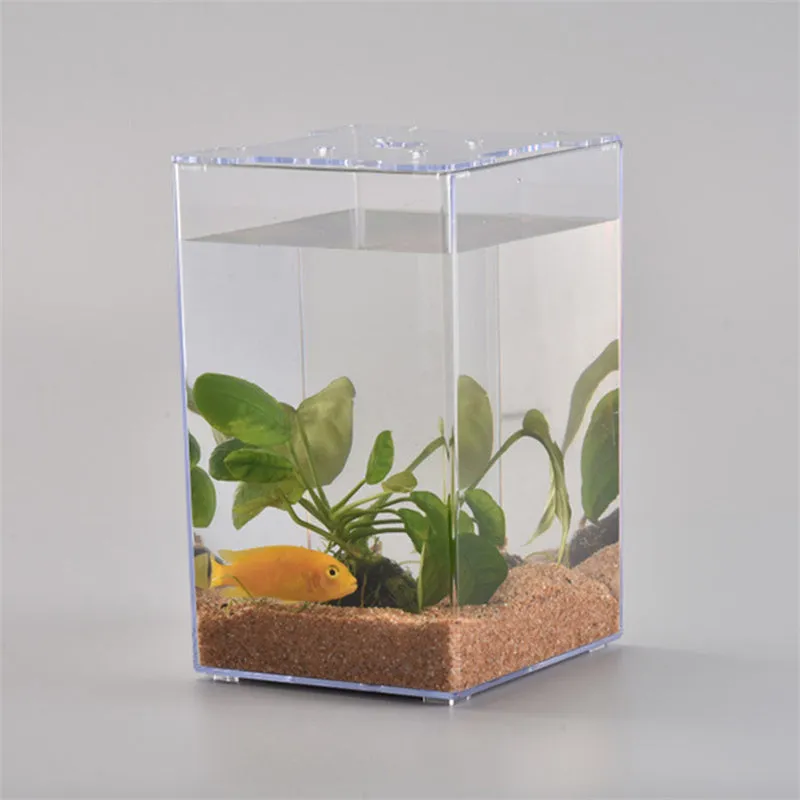 Acrylic Transparent Desktop Plastic Fish Tank