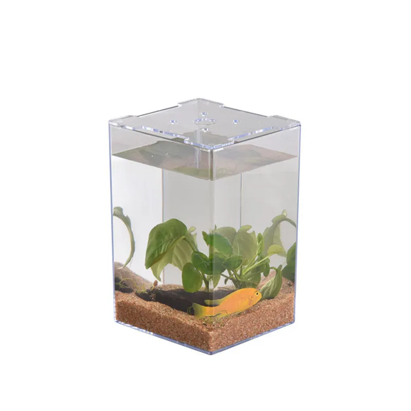 Acrylic Transparent Desktop Plastic Fish Tank