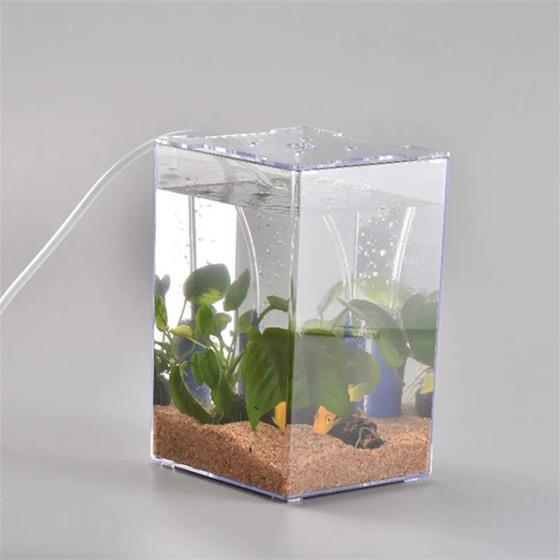 Acrylic Transparent Desktop Plastic Fish Tank