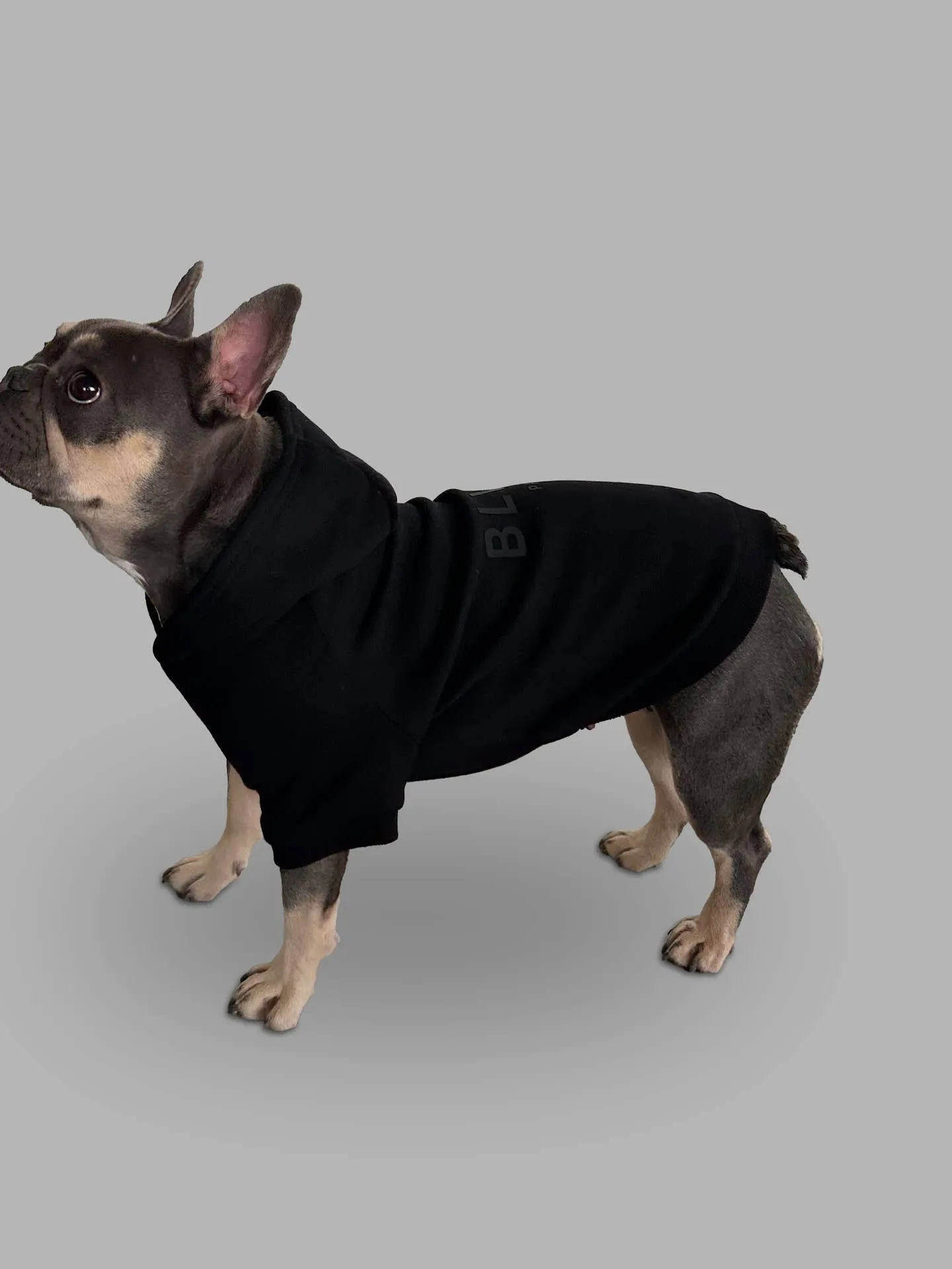 Bold Pet Hoodie