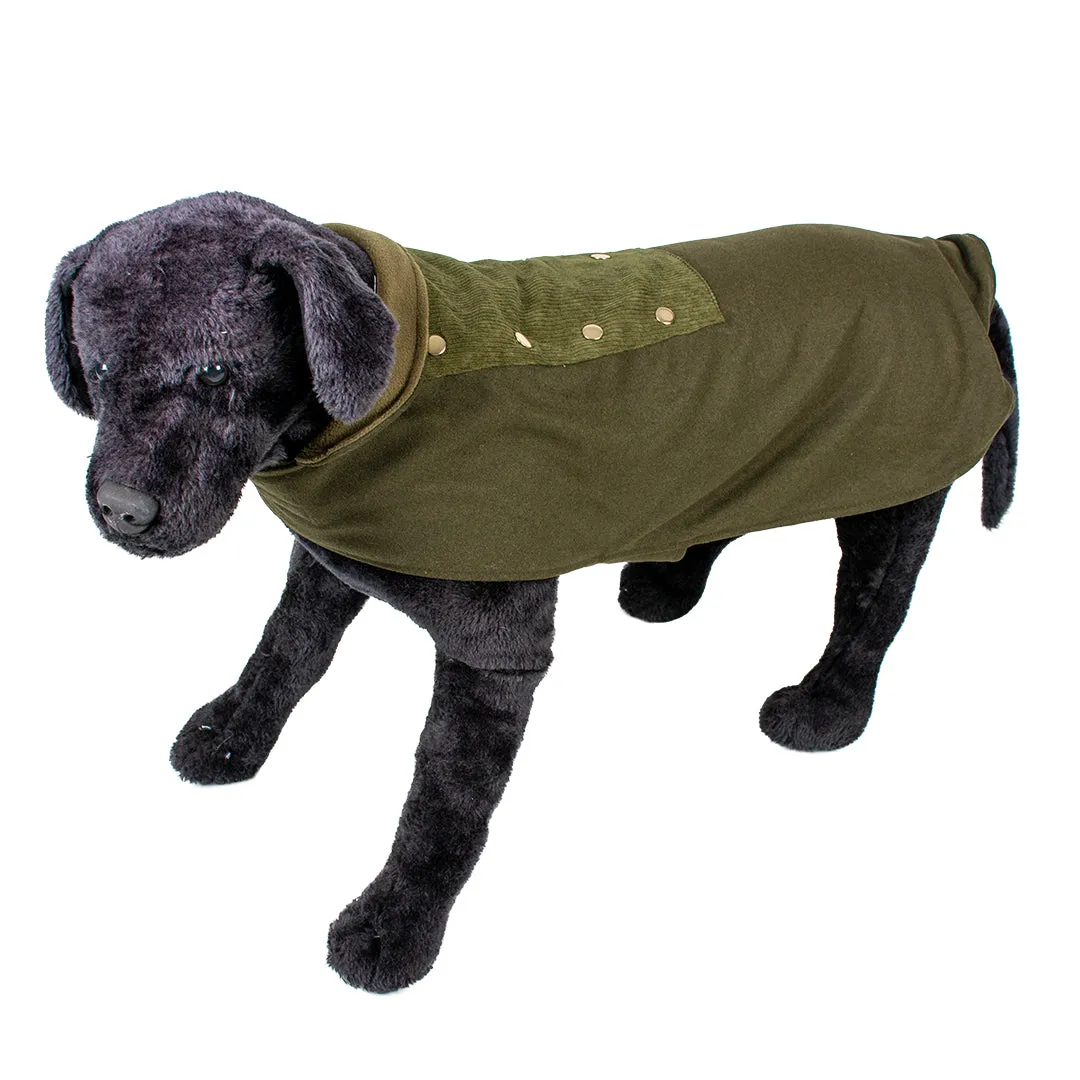 DOG JACKET BLAZER - GREEN