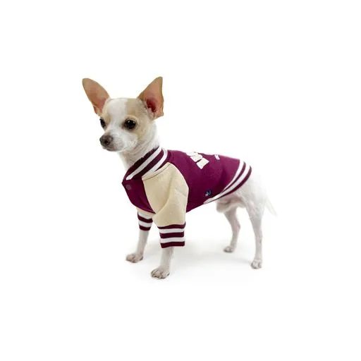 Huskimo College Dog Jacket