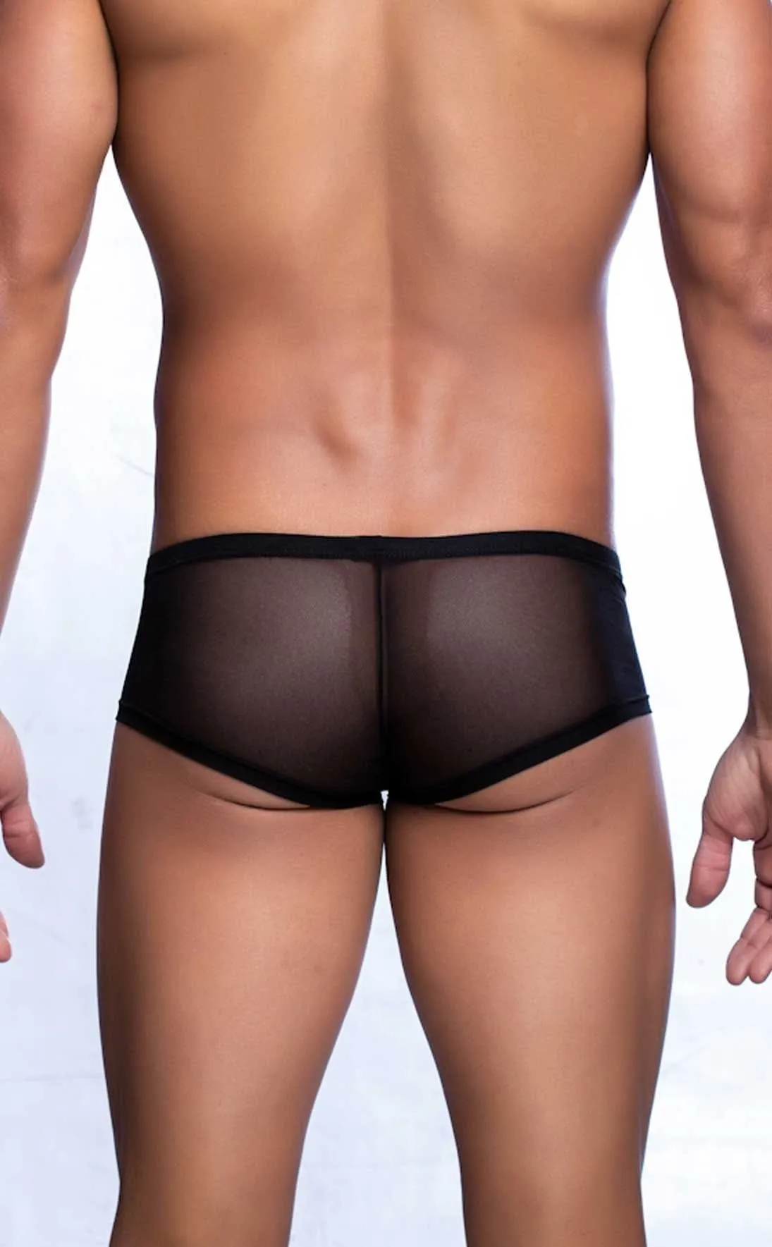 MOB Men's Sexy Sheer Hip Briefs