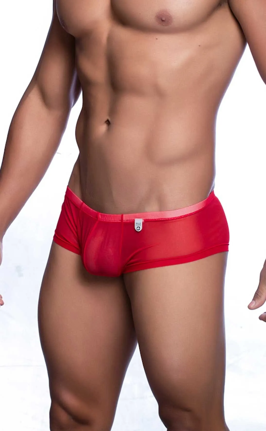 MOB Men's Sexy Sheer Hip Briefs