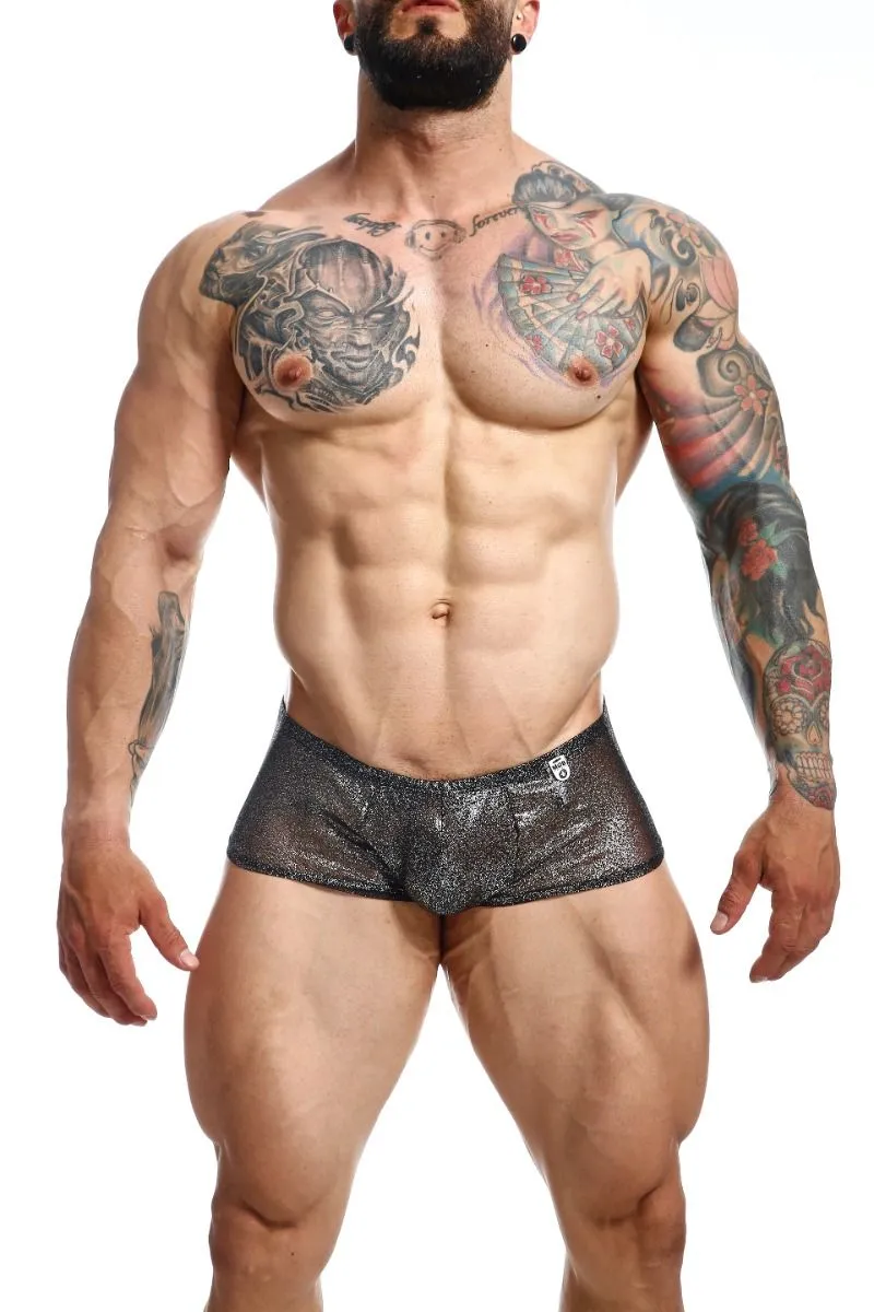 MOB Men's Sexy Sheer Hip Briefs