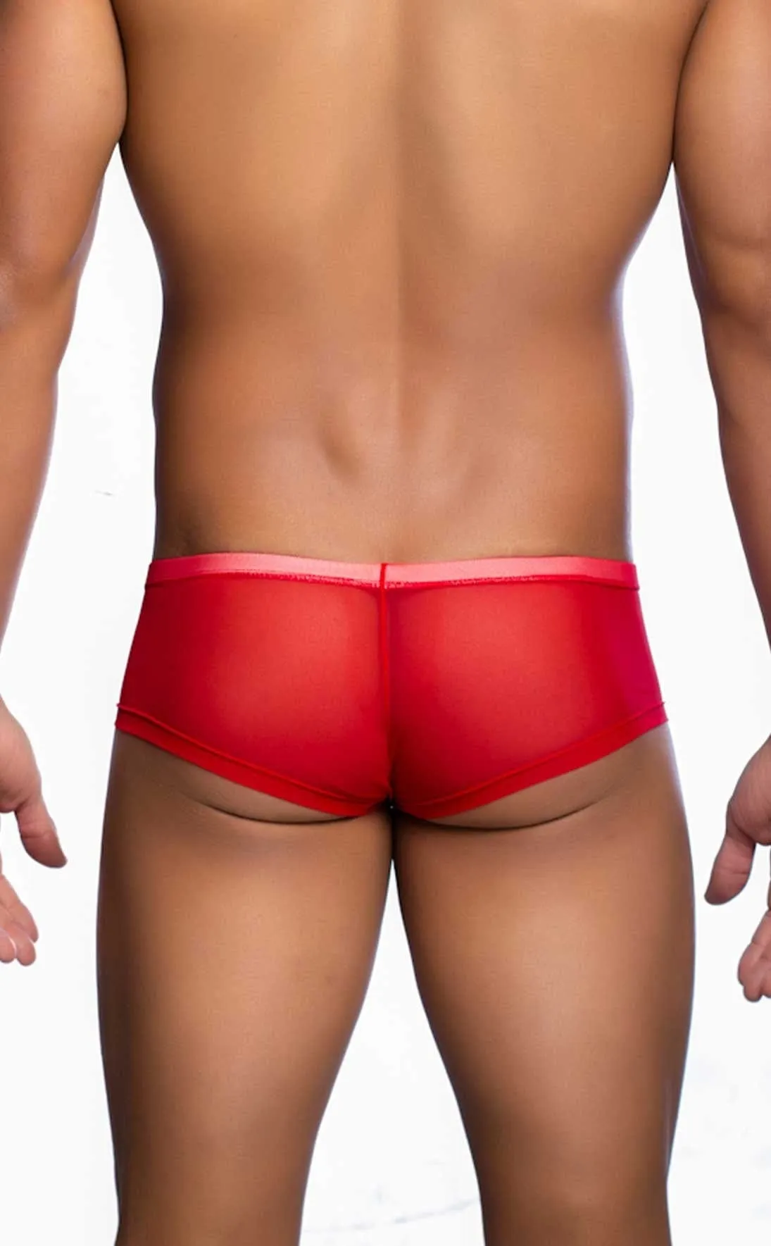 MOB Men's Sexy Sheer Hip Briefs