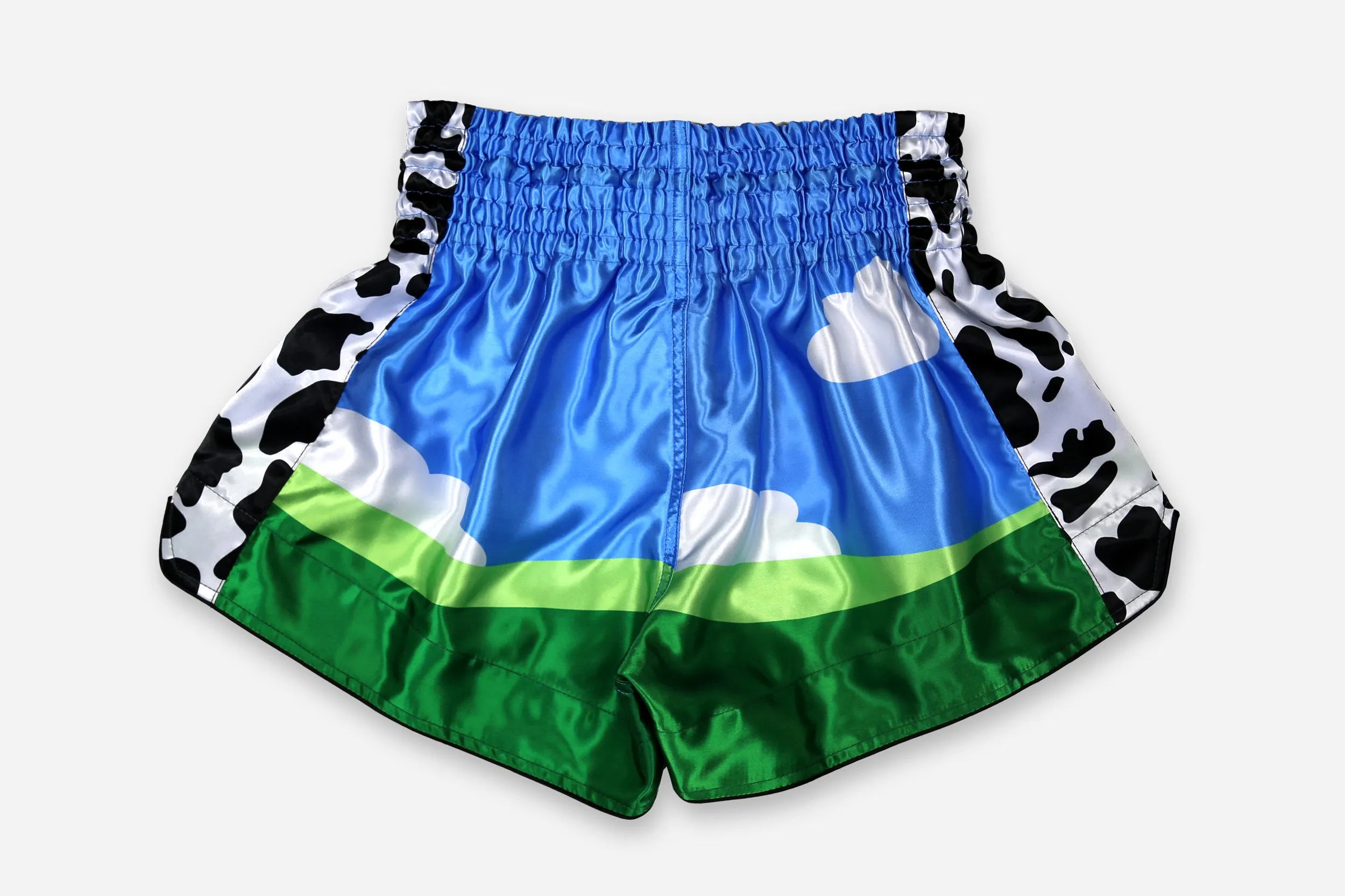 "Ice C.R.E.A.M." Muay Thai Shorts