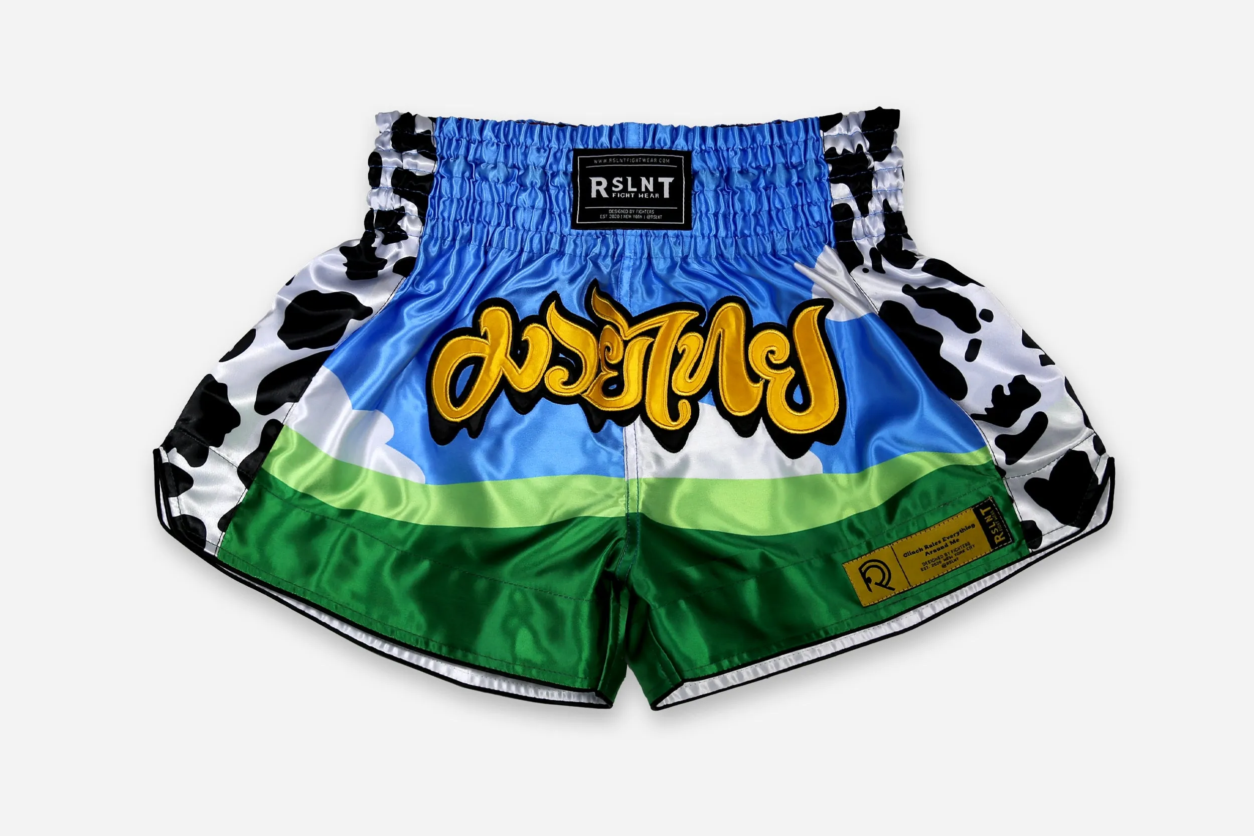 "Ice C.R.E.A.M." Muay Thai Shorts