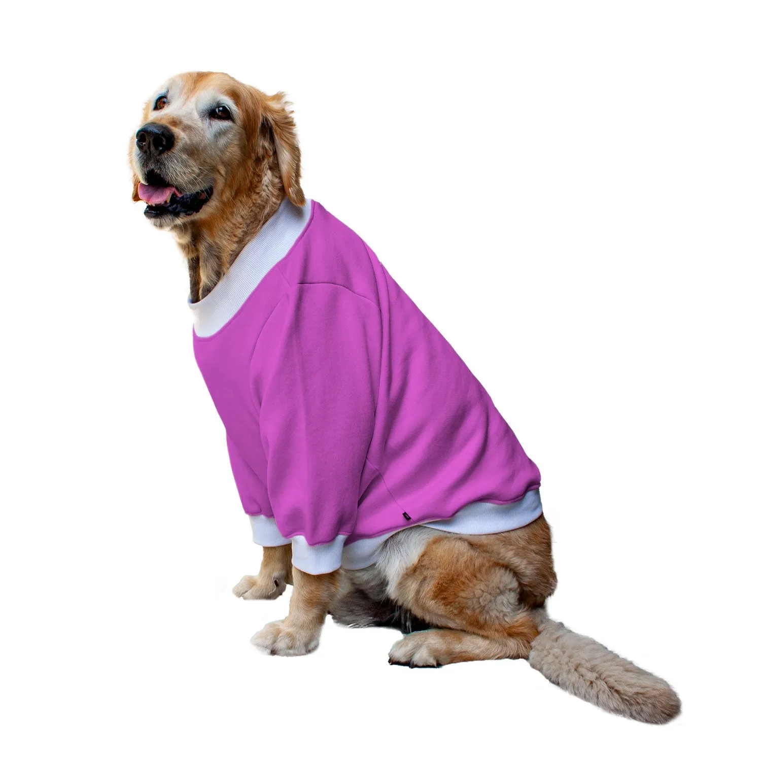 Ruse 'Basics' "Bhootiful" Printed Crew Neck Full Sleeve Sweatshirt For Dogs