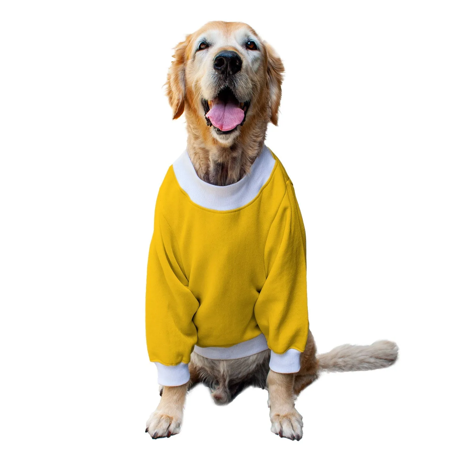 Ruse 'Basics' "Bhootiful" Printed Crew Neck Full Sleeve Sweatshirt For Dogs