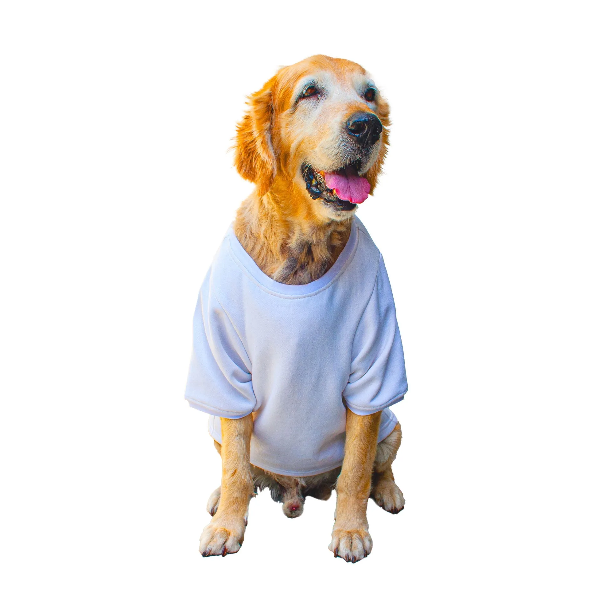 Ruse 'Basics' "Bosspup" Printed Crew Neck Full Sleeve Expedition Sweatshirt For Dogs