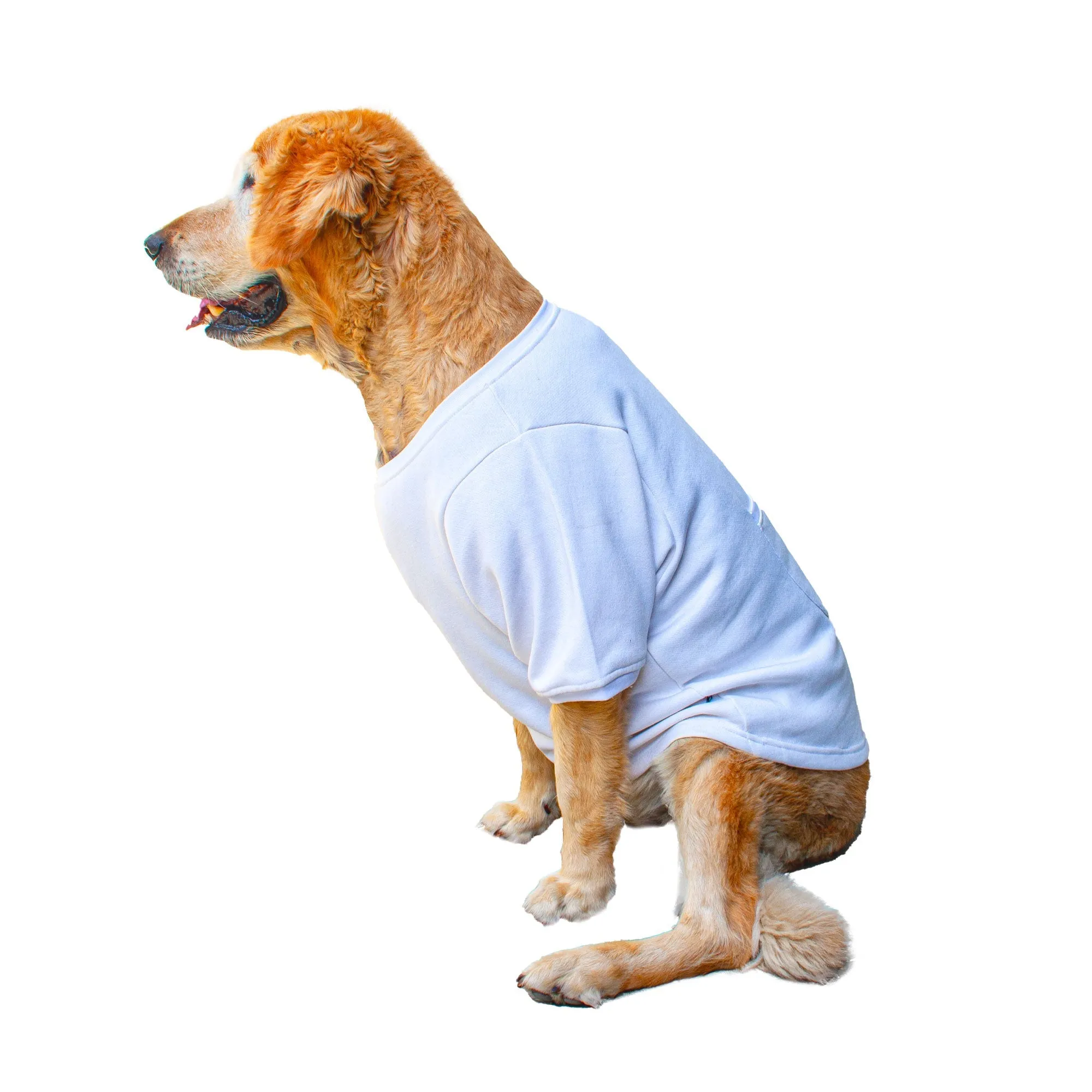 Ruse 'Basics' "Bosspup" Printed Crew Neck Full Sleeve Expedition Sweatshirt For Dogs