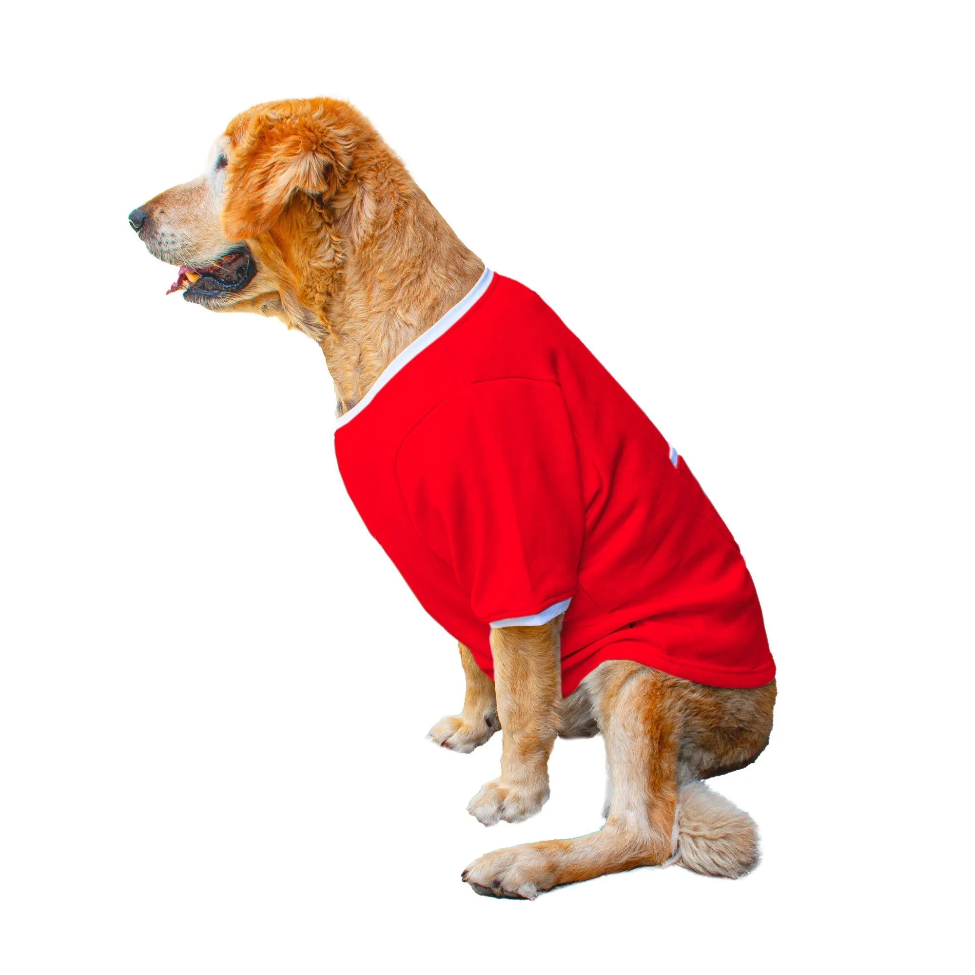 Ruse 'Basics' "Bosspup" Printed Crew Neck Full Sleeve Expedition Sweatshirt For Dogs