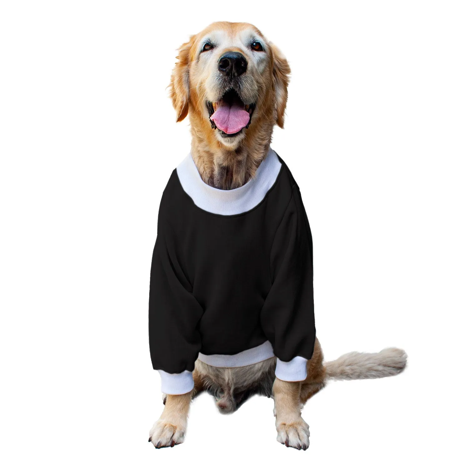 Ruse 'Basics' "Chillin With My Snowmies" Printed Crew Neck Full Sleeve Sweatshirt For Dogs