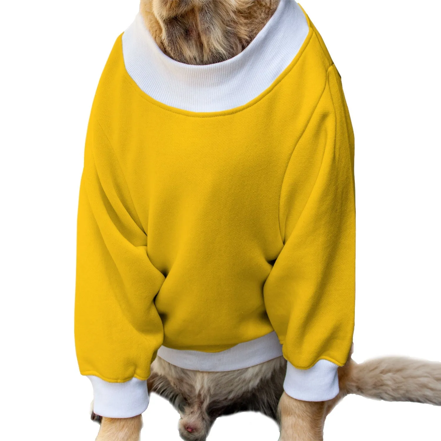 Ruse 'Basics' "Chillin With My Snowmies" Printed Crew Neck Full Sleeve Sweatshirt For Dogs