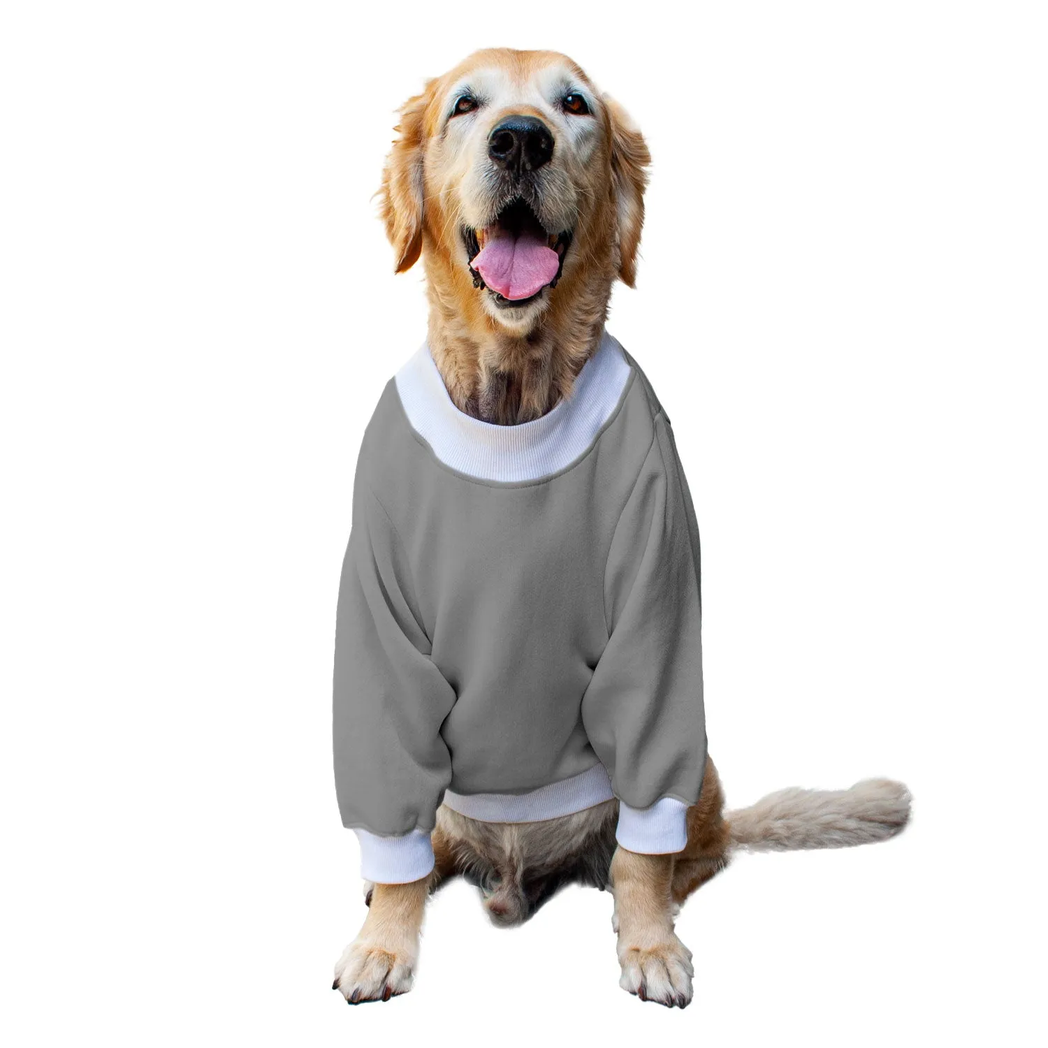 Ruse 'Basics' "Cool AF" Printed Crew Neck Full Sleeve Sweatshirt For Dogs