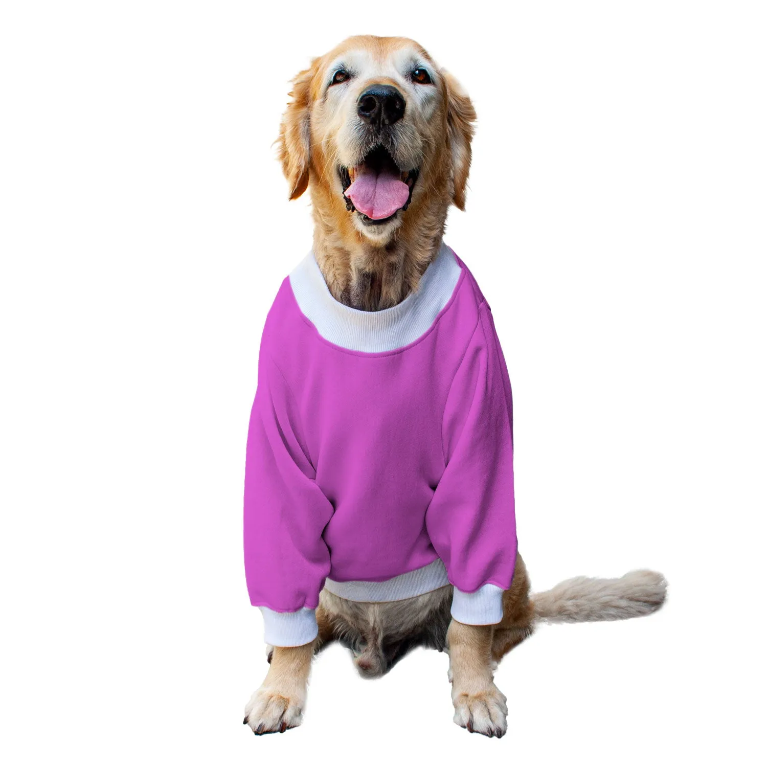 Ruse 'Basics' "Cool AF" Printed Crew Neck Full Sleeve Sweatshirt For Dogs