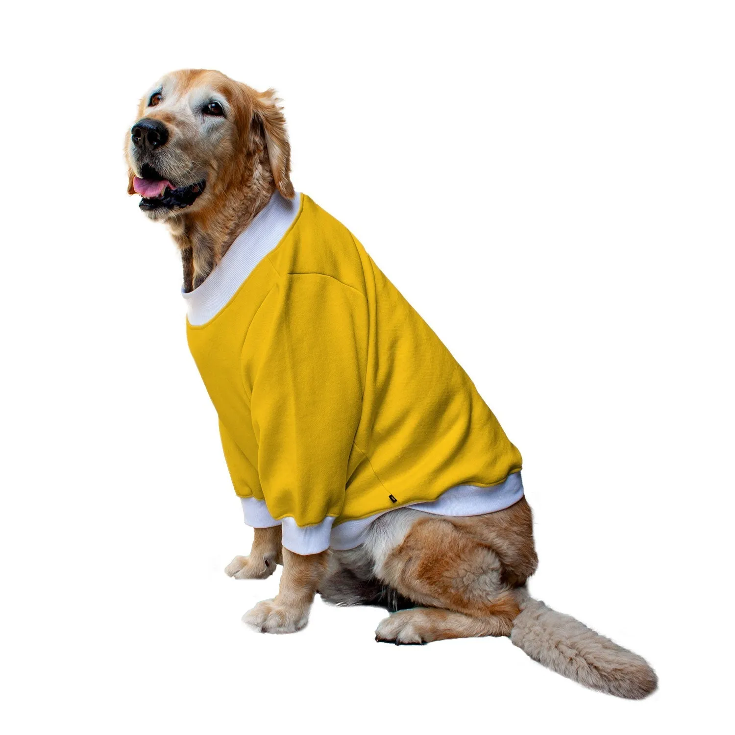 Ruse 'Basics' "Cool AF" Printed Crew Neck Full Sleeve Sweatshirt For Dogs