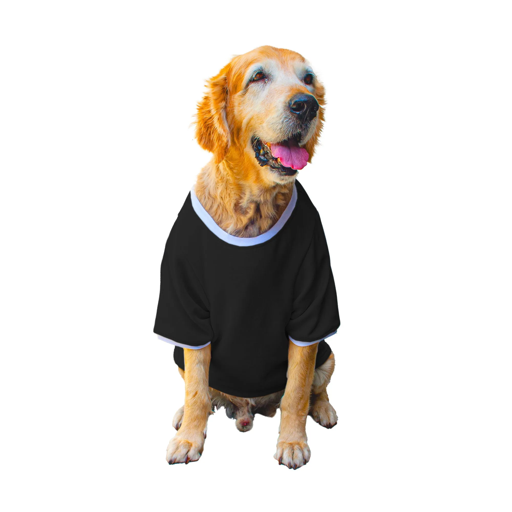 Ruse 'Basics' "Daily Dose of Happiness" Printed Crew Neck Full Sleeve Expedition Sweatshirt For Dogs