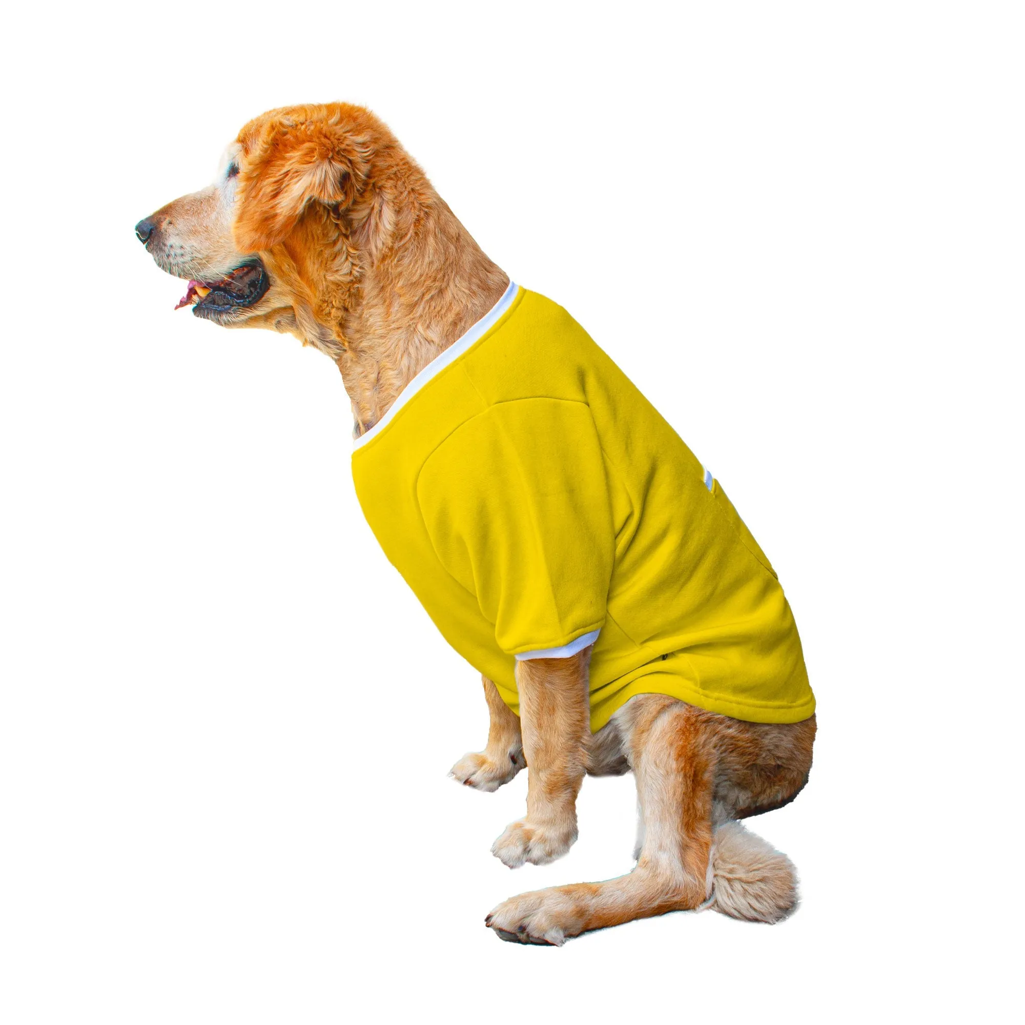 Ruse 'Basics' "Daily Dose of Happiness" Printed Crew Neck Full Sleeve Expedition Sweatshirt For Dogs