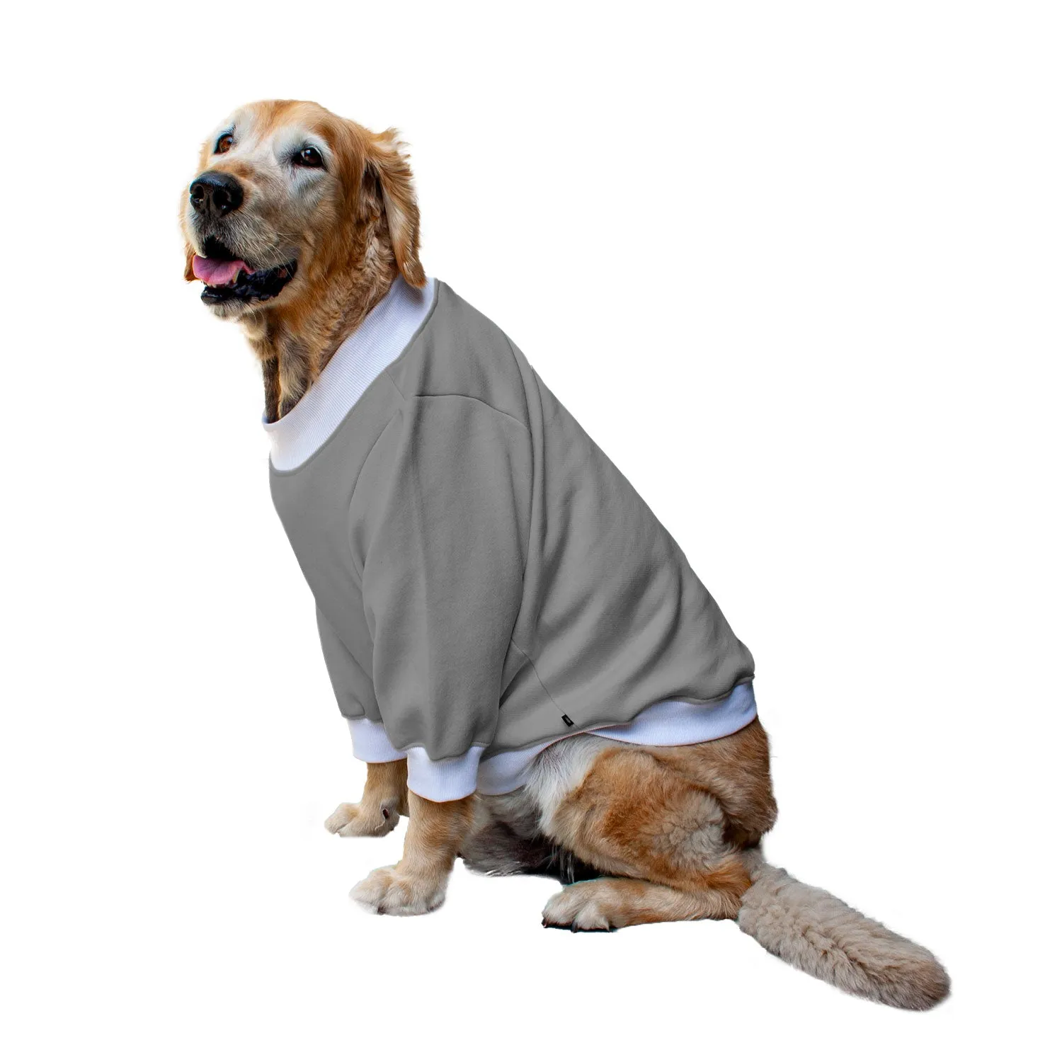 Ruse 'Basics' "Dogzilla" Printed Crew Neck Full Sleeve Sweatshirt For Dogs