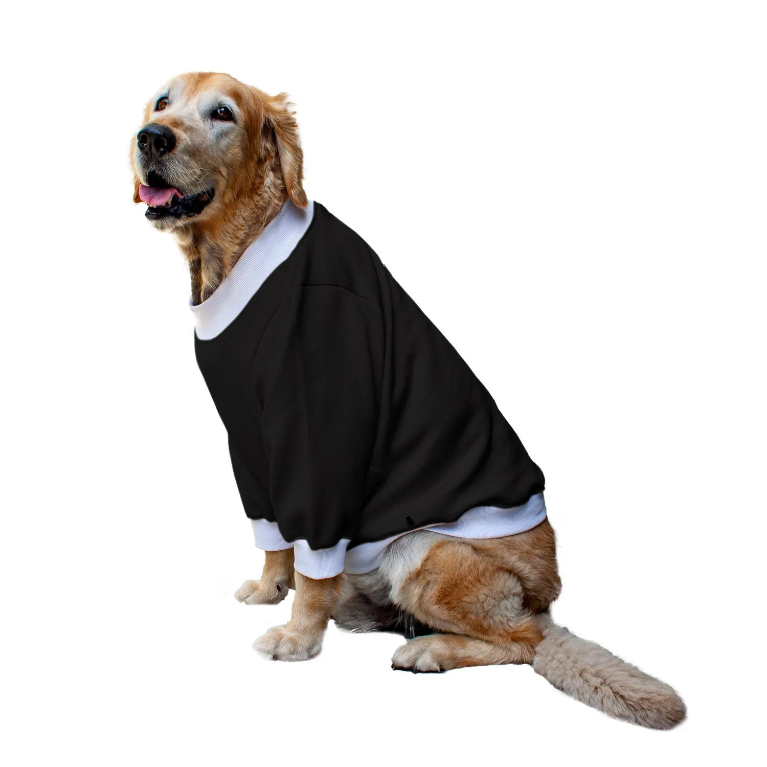 Ruse 'Basics' "Dogzilla" Printed Crew Neck Full Sleeve Sweatshirt For Dogs