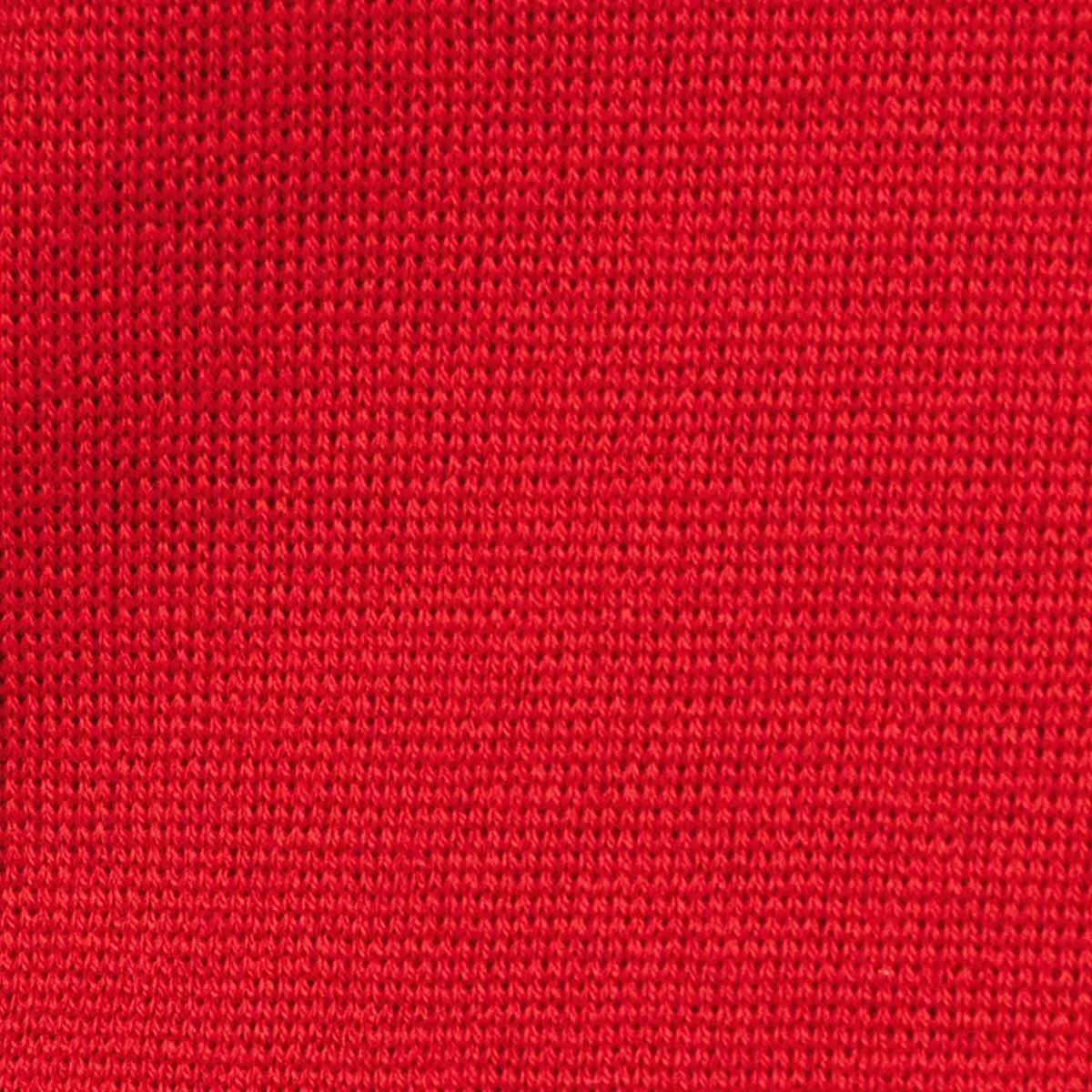 The Core Crewneck Crimson